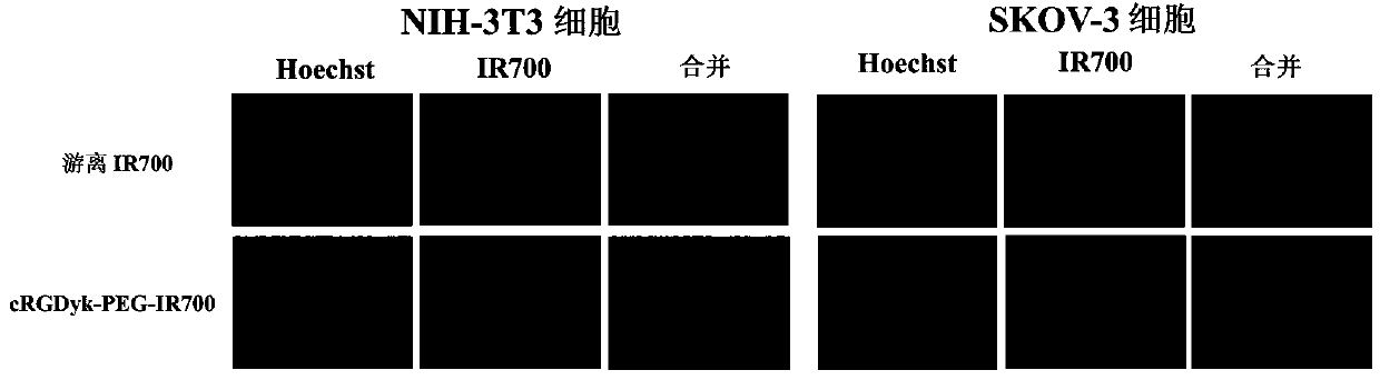 Polyethylene glycol nano drug delivery system with enhanced anti-tumor effect and preparation method thereof