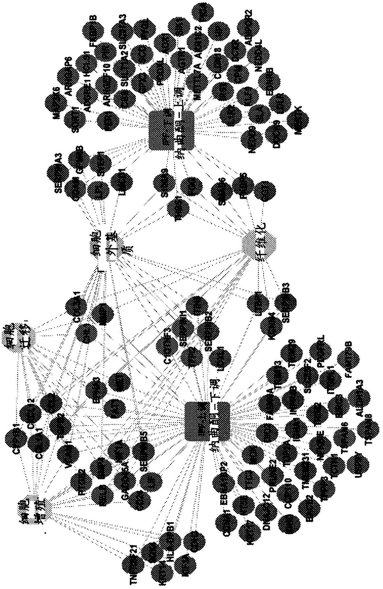 Methods for treating fibrosis