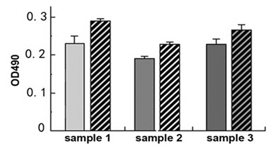 Application of progesterone in stimulation of fibronectin secretion of mesenchymal stem cells