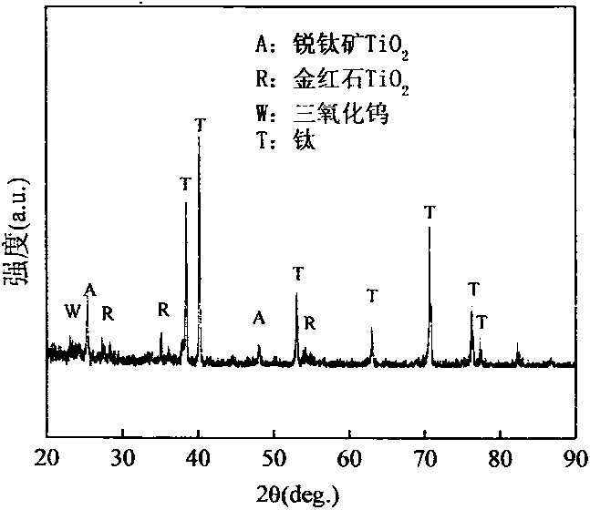 Method for preparing titanium dioxide nanotube array photoelectrode