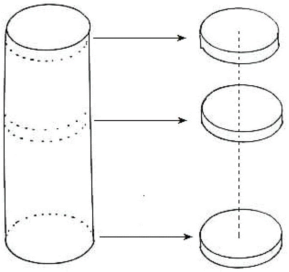 A ring-type stem-growing method for trunks of the genus Lagerstroemia in the family Lagerstroemia genus