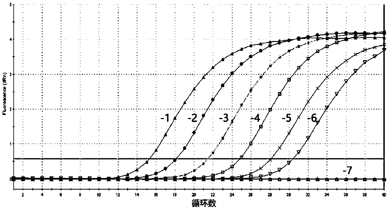 Specific primer, probe and quick detection kit for detecting macrobrachium rosenbergii flavivirus-1