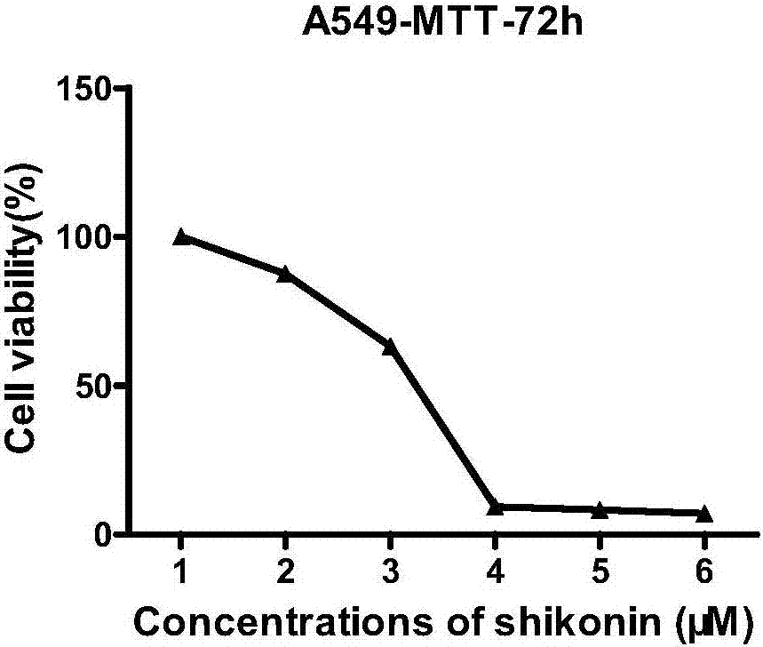 Application of shikonin in preparing drug for treating lung cancer