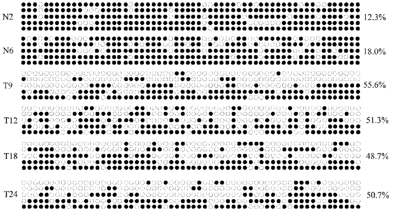 Application method of hypomethylated gene POTEH