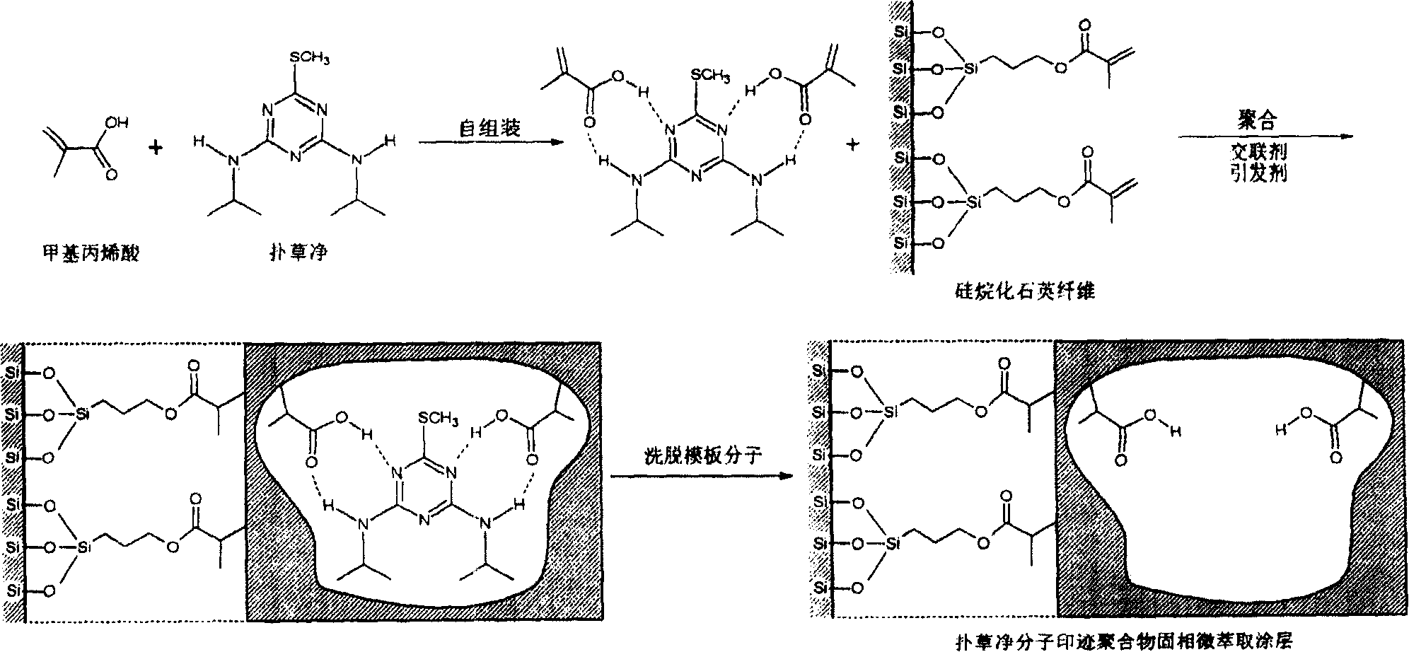 Molecular blotting solid phase microextraction coating preparation method