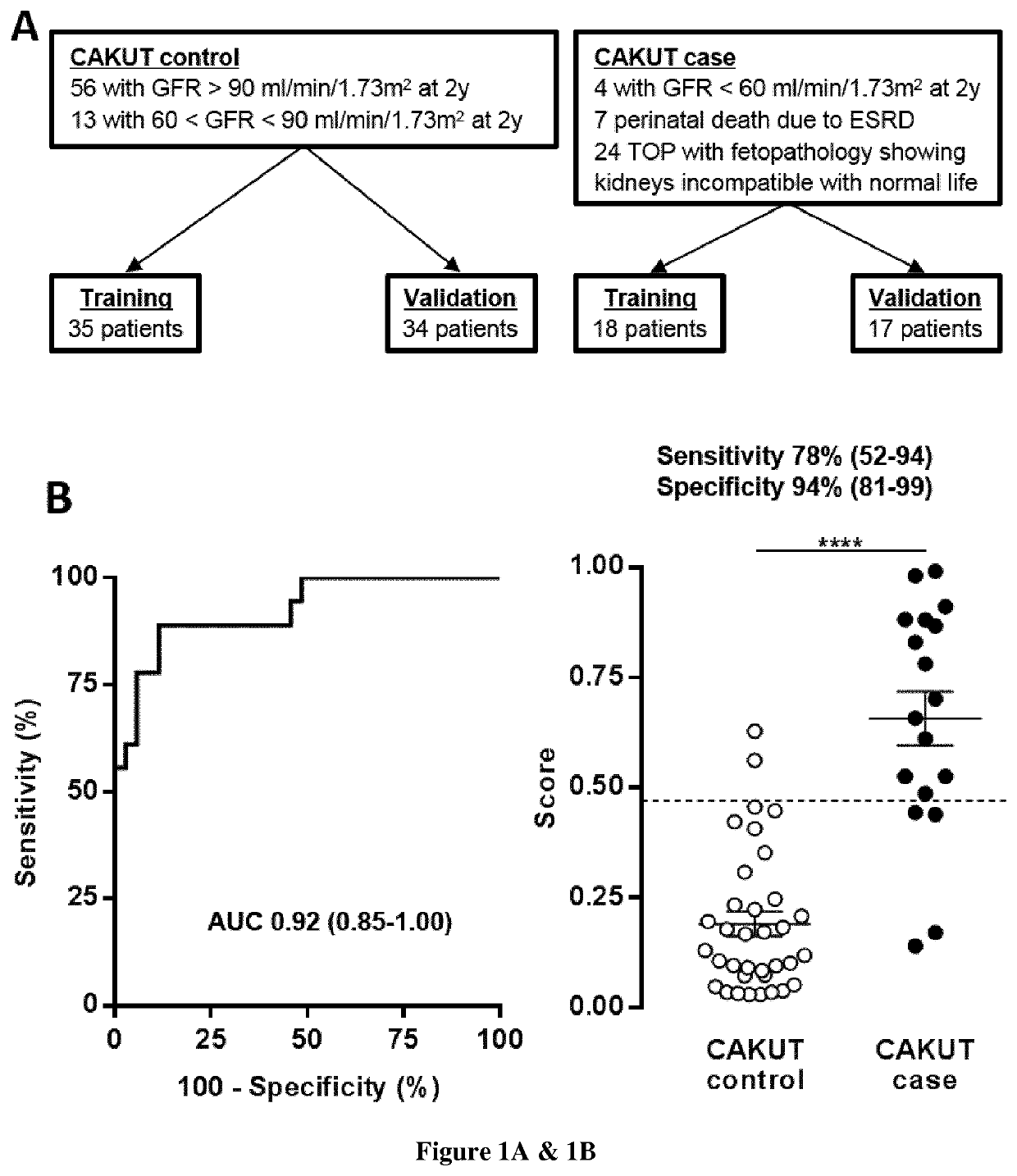 Use of amniotic fluid peptides for predicting postnatal renal function in congenital anomalies of the kidney and the urinary tract