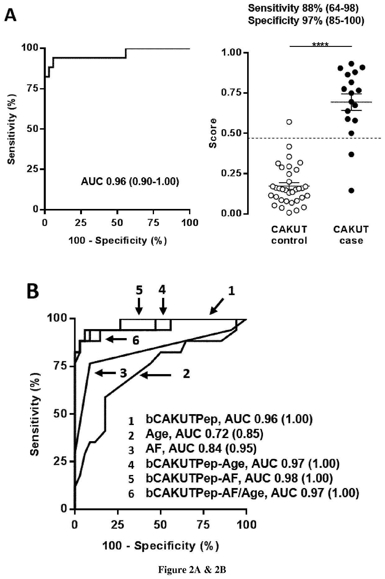 Use of amniotic fluid peptides for predicting postnatal renal function in congenital anomalies of the kidney and the urinary tract