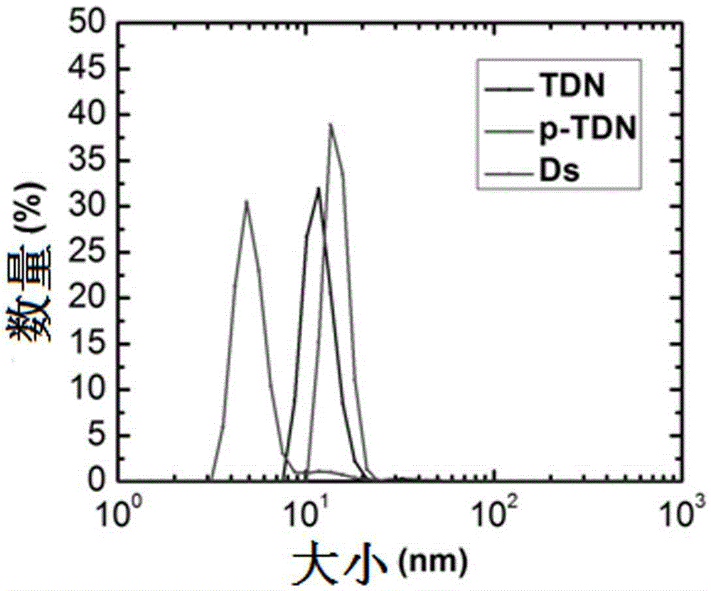 Targeted DNA nano-probe and preparation and application thereof