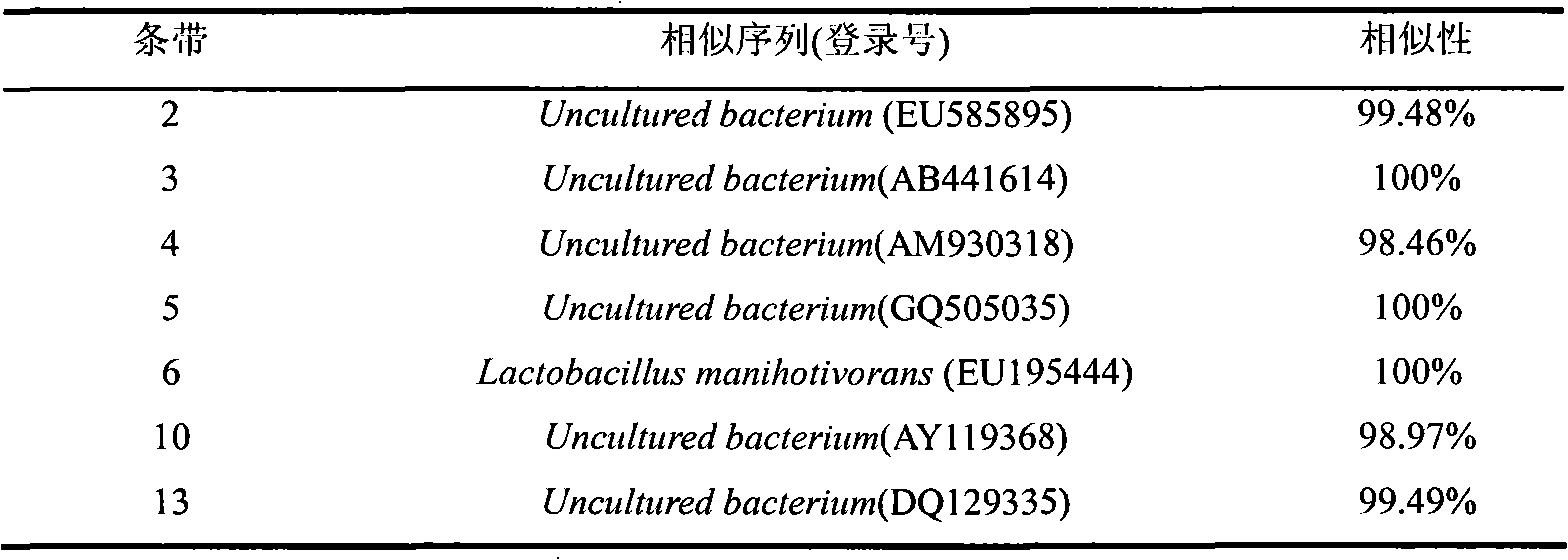 Method for studying structural diversity of daqu bacterial community