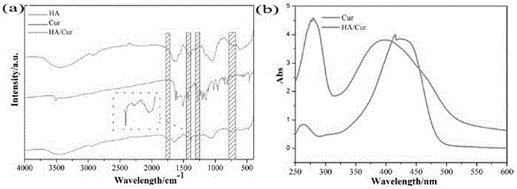 Curcumin hyaluronic acid nano-micelle for treating rheumatoid arthritis as well as preparation method and application thereof