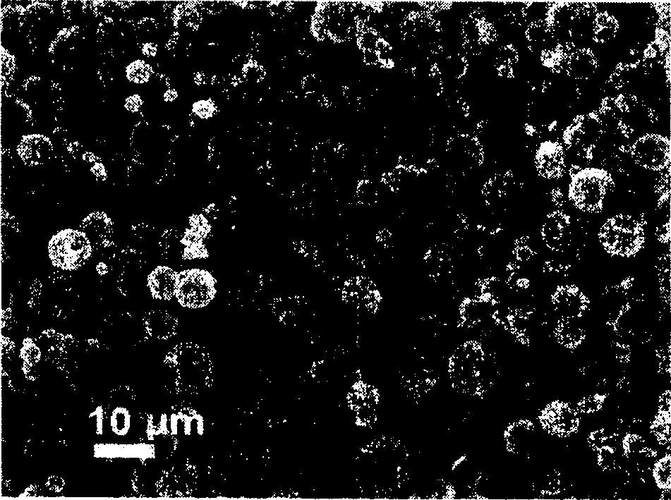 Batch synthesis method of hollow nanometer/micrometer zinc oxide ball