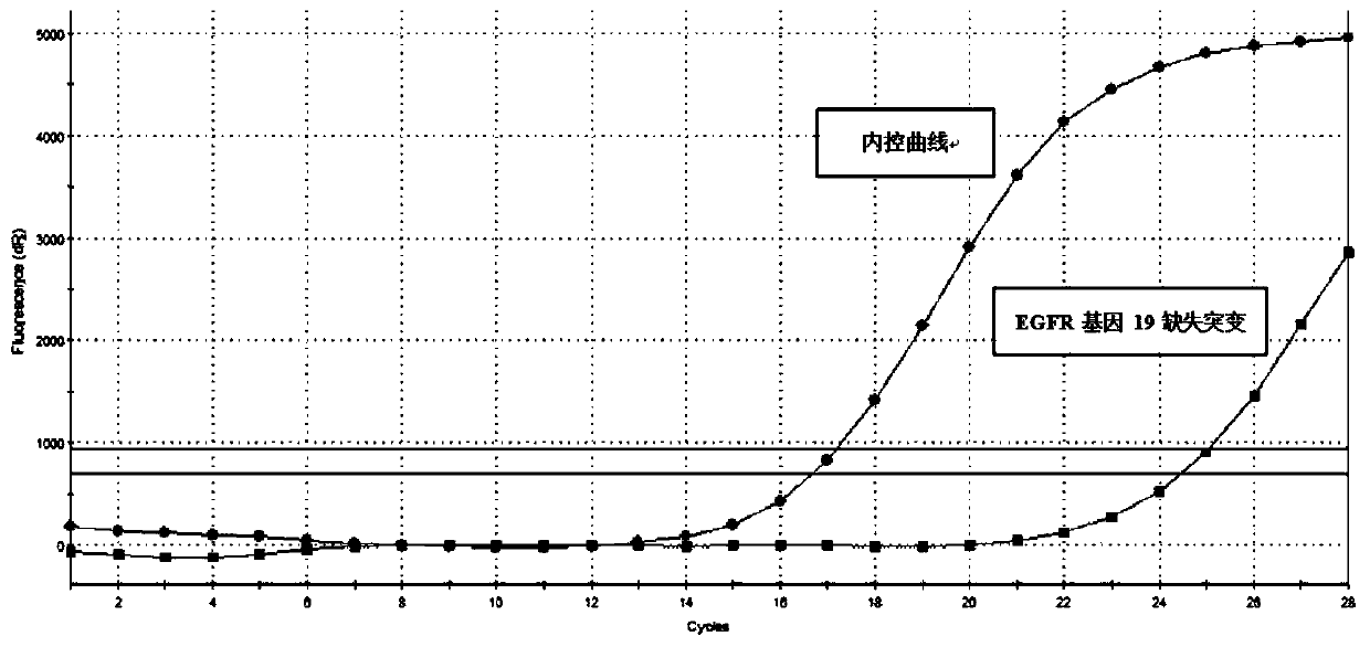 Method for extracting cfDNA in sputum sample