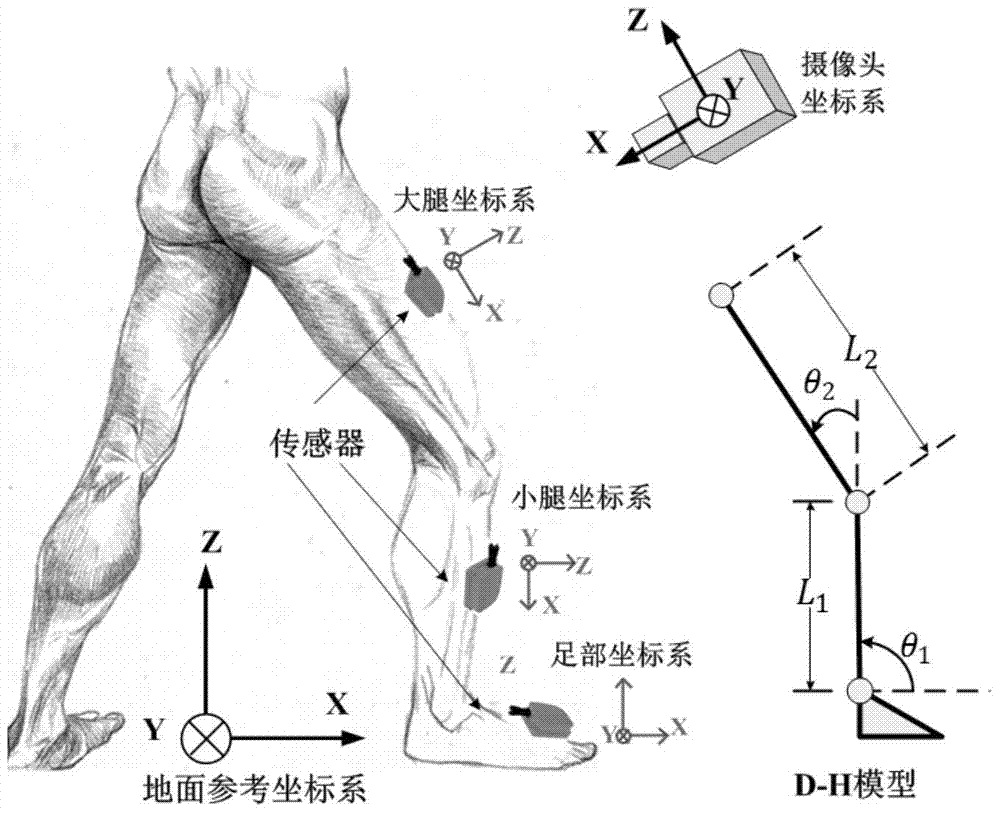 A method and system for human gait analysis based on multi-sensor fusion