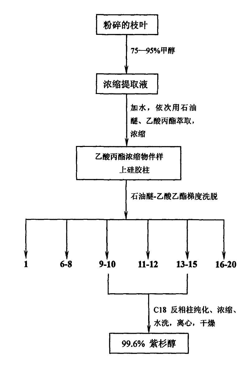 Extraction method of taxol from branches and leaves of artificially cultivated yew