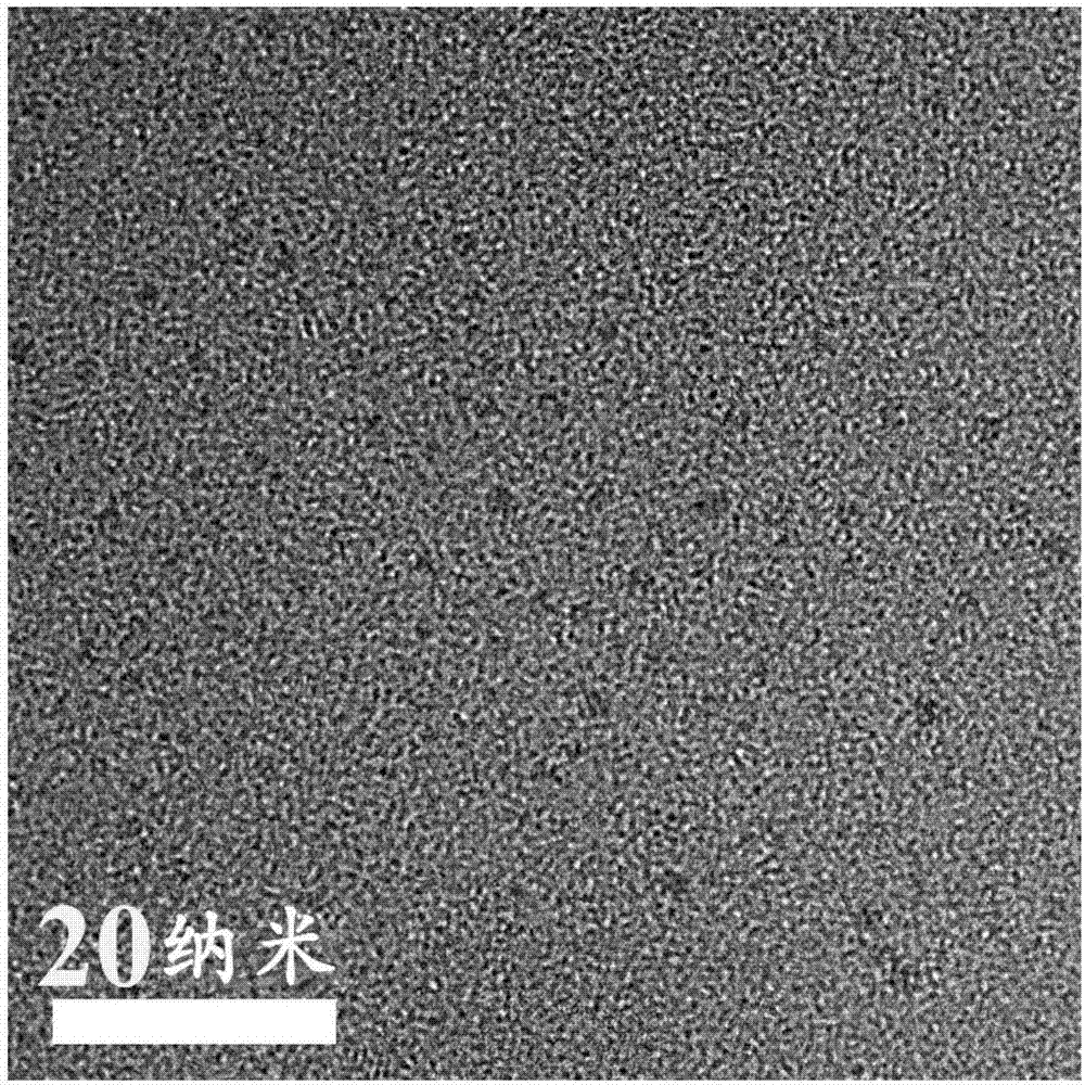 Latent fingerprint detection method based on red fluorescent carbon dot material