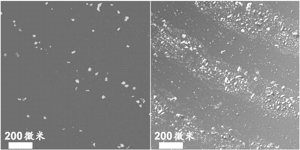 Latent fingerprint detection method based on red fluorescent carbon dot material