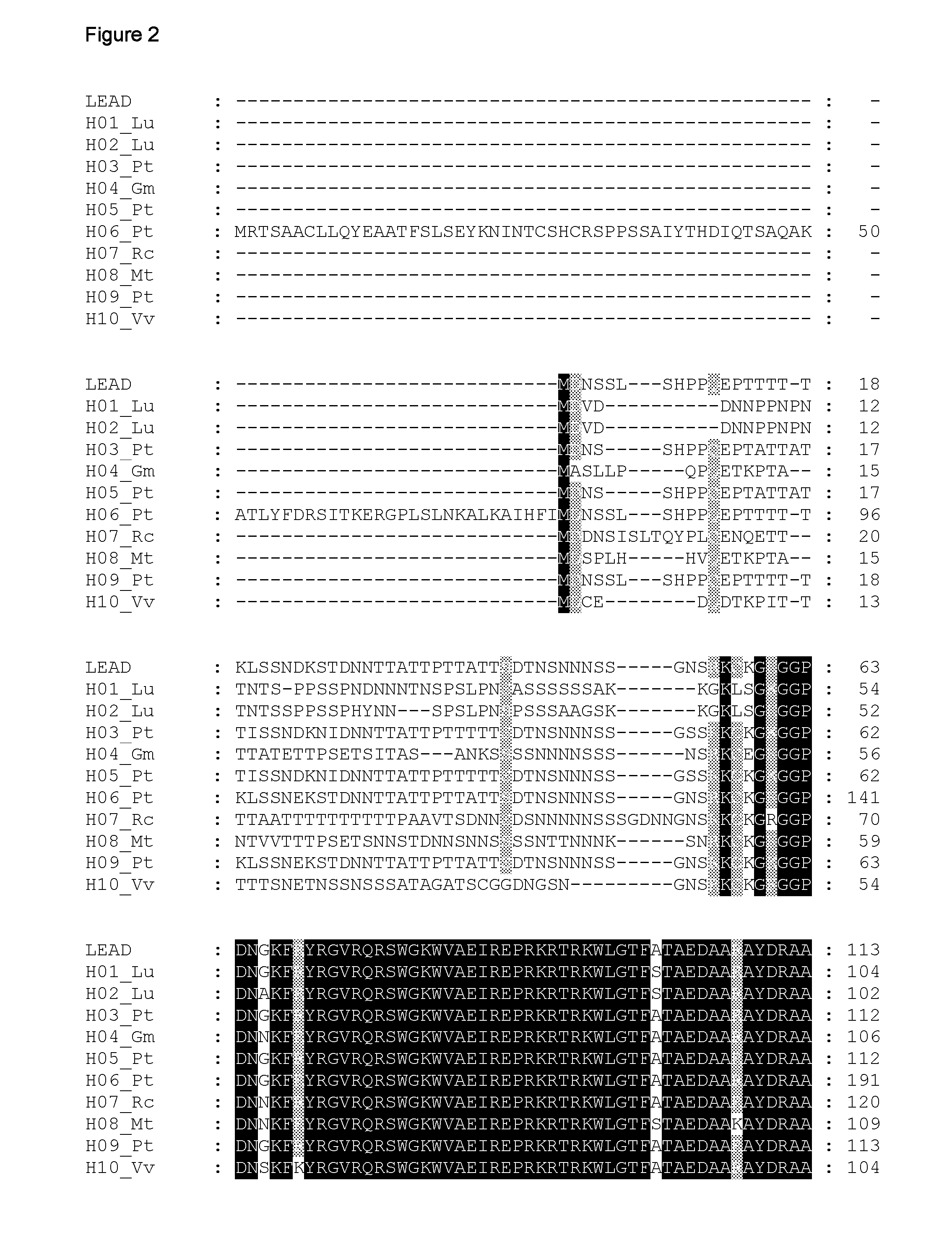 Plants having one or more enhanced yield-related traits and a method for making the same