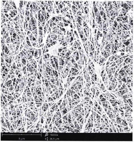 Silicon carbide nanowire hydrophobic coating and preparation method thereof