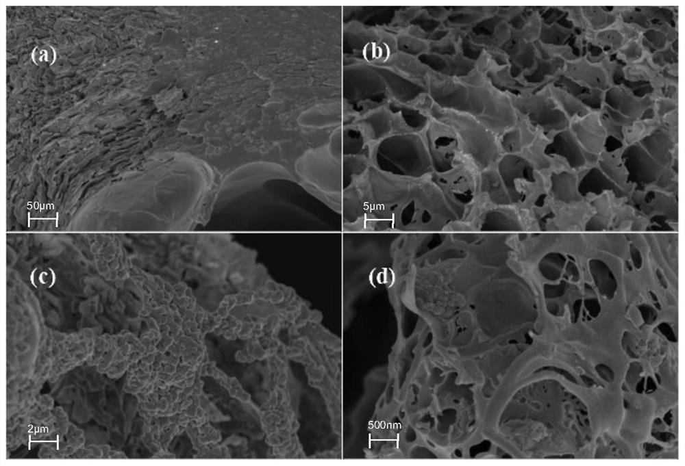 Preparation method and application of microbial immobilized composite particles
