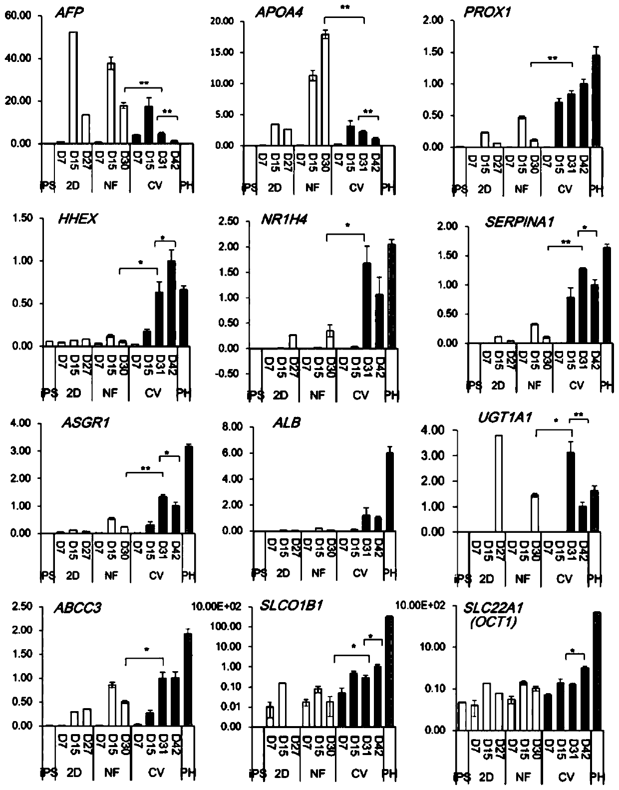 Method for inducing differentiation of pluripotent stem cells into hepatocytes