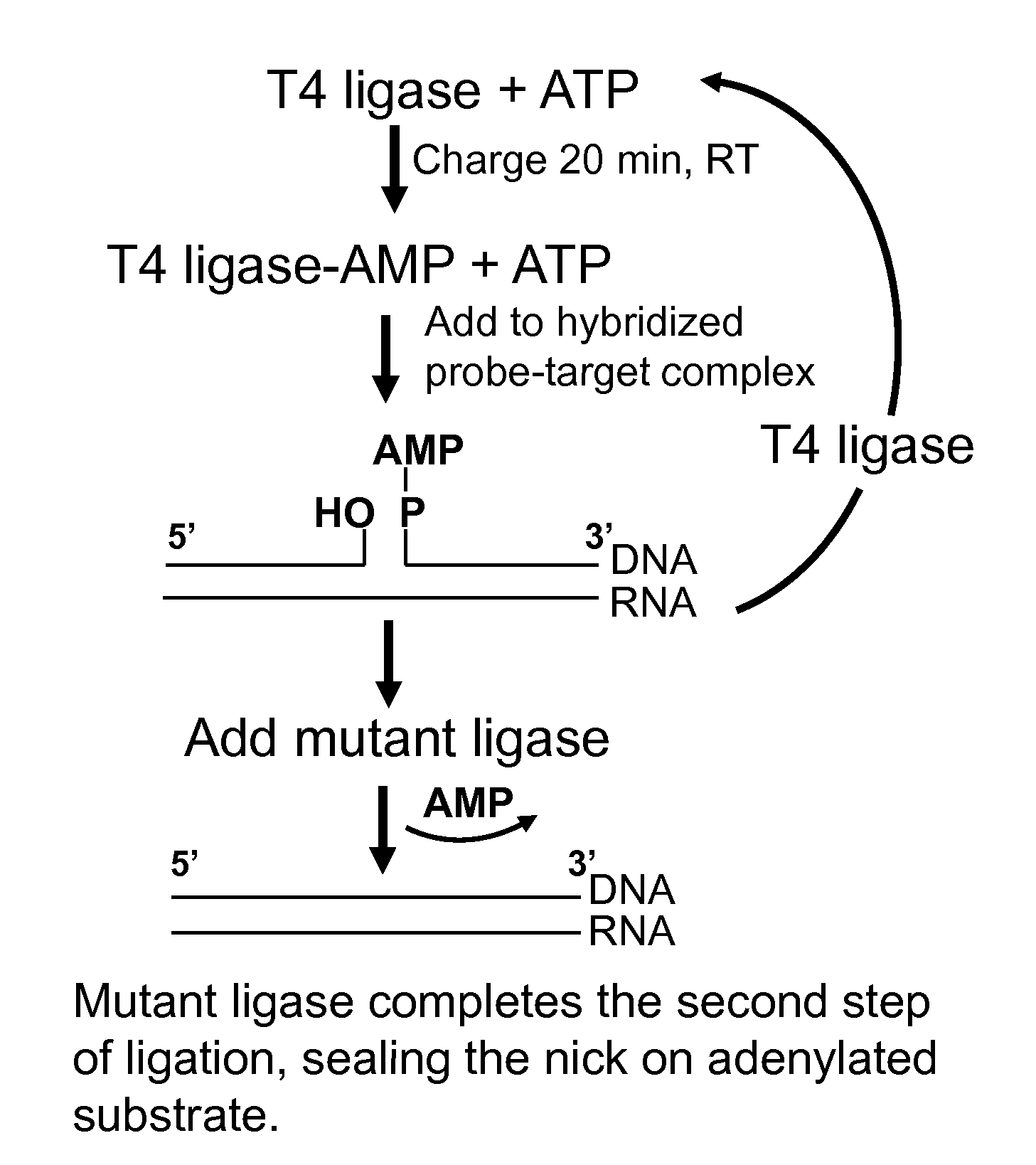 DNA ligation on RNA template