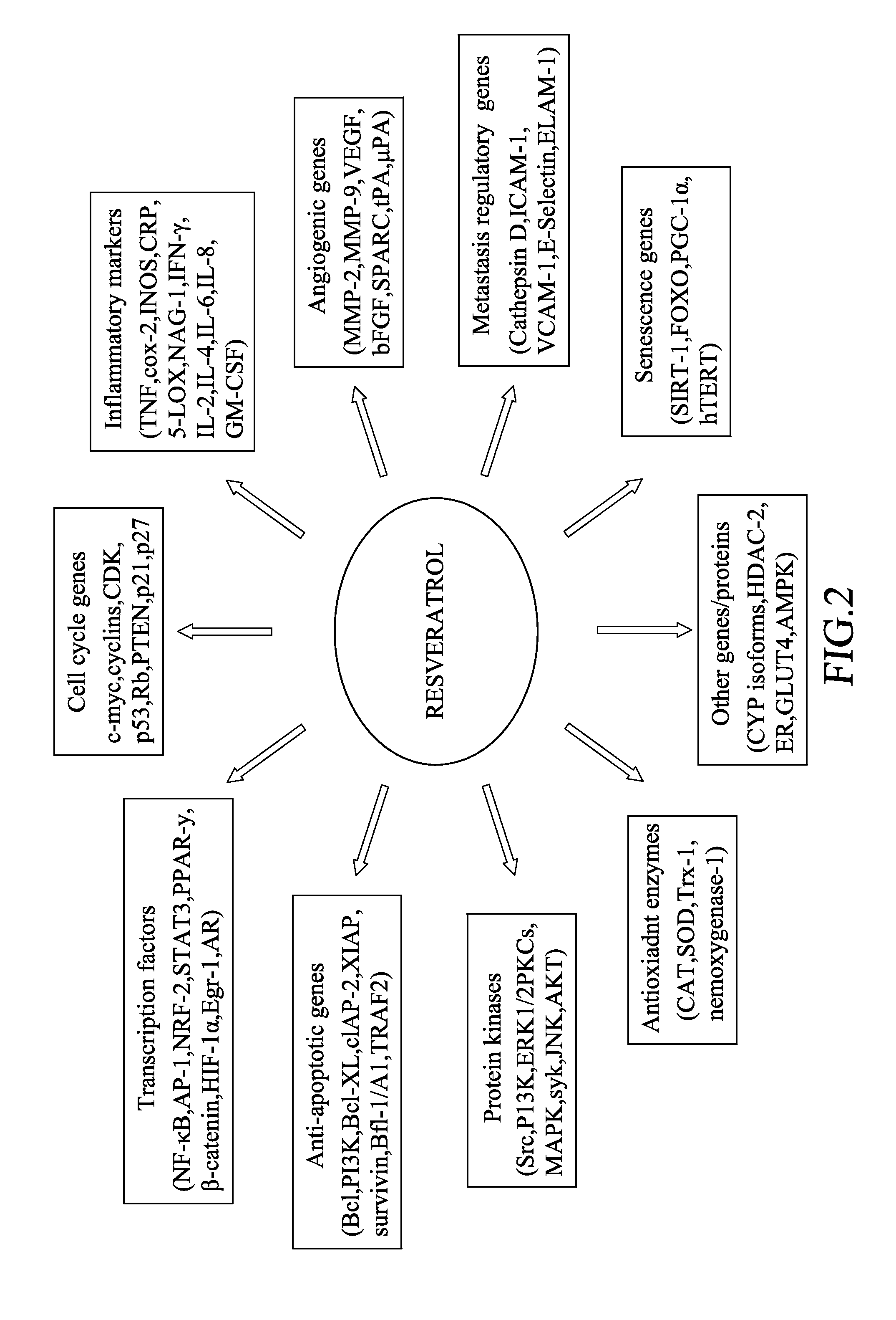 Food composition for nourishing, maintaining and cultivating a variety of stem cells and a method for manufacturing the same