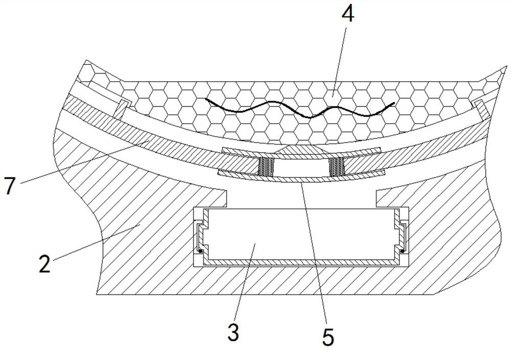 Processing device for frying tea oil seeds