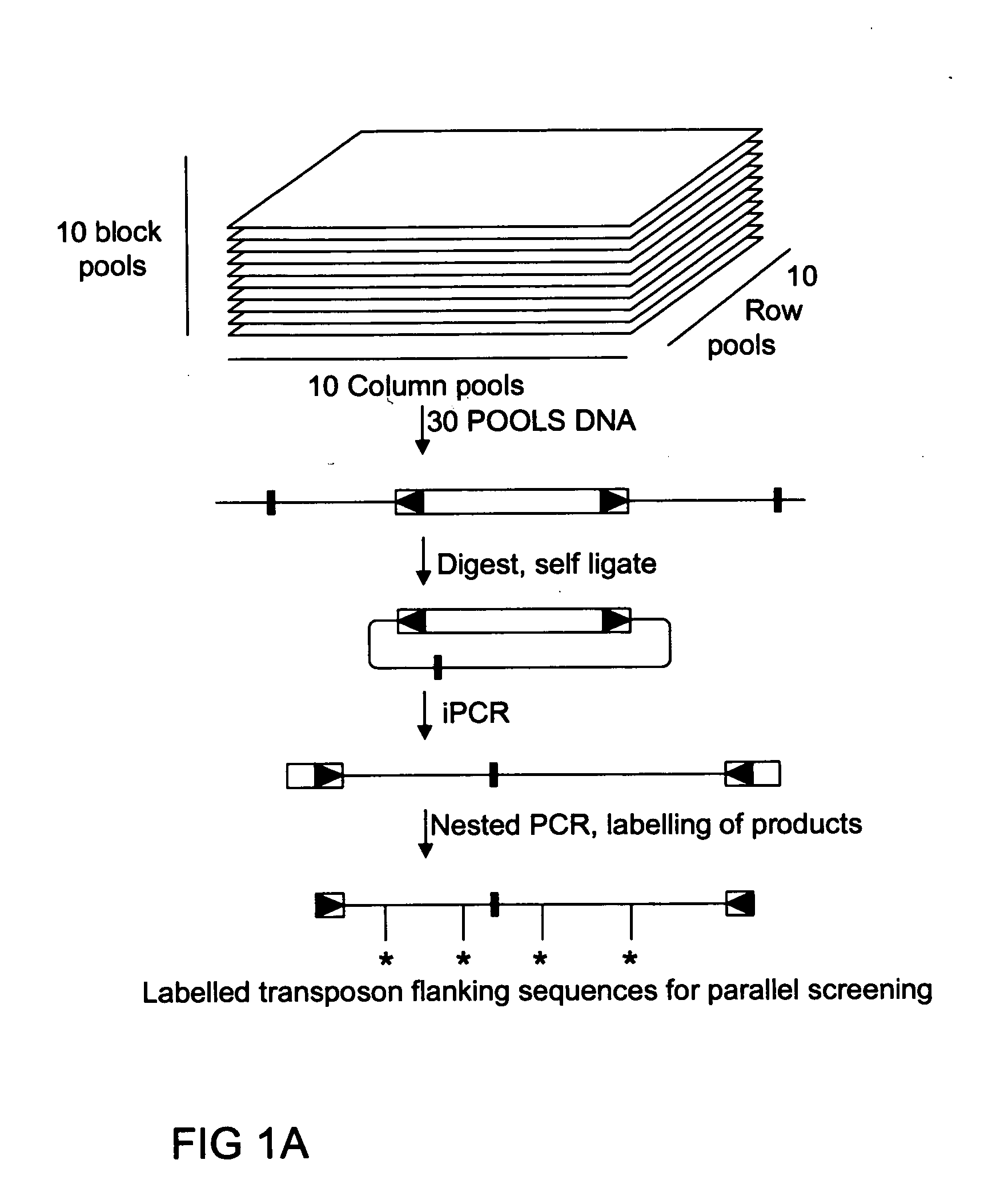 Method of parallel screening for insertion mutants and a kit to perform this method