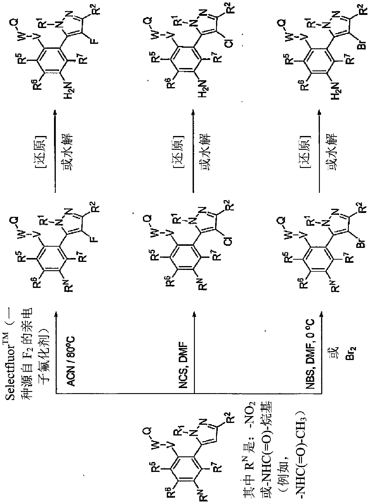 Modifier of 5-HT2A serotonin receptor