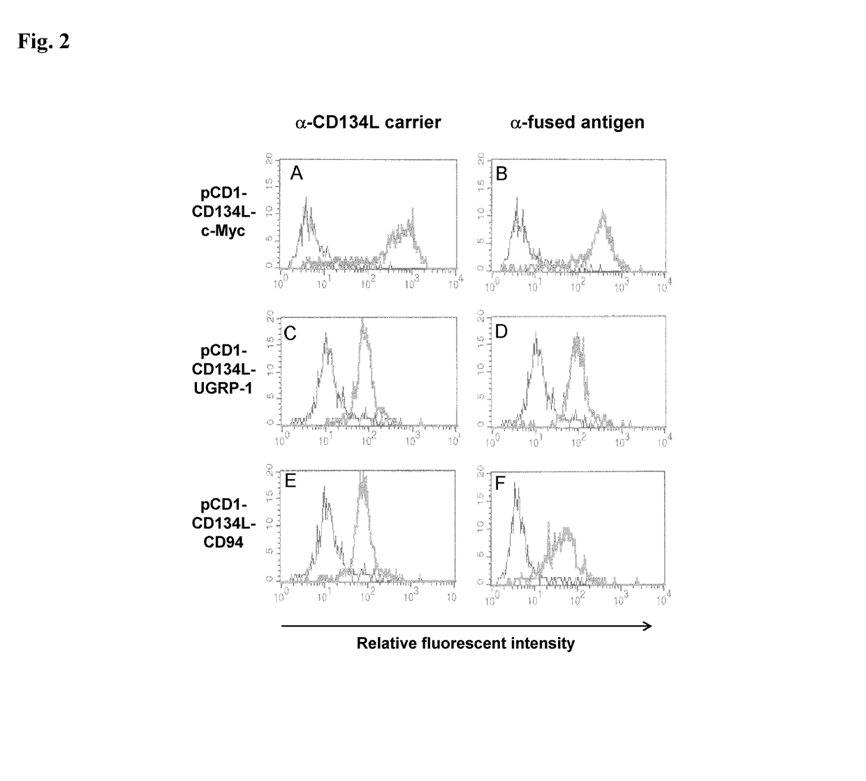 Method for producing antibody using “naked” expression vector expressing type II transmembrane fusion protein