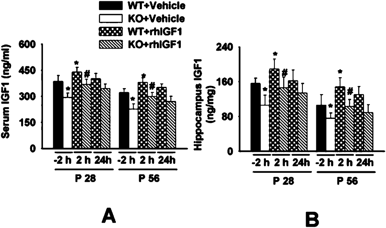 Application of recombinant human insulin-like growth factor 1 (rhIGF1) in preparation of medicines for treating fragile X syndrome