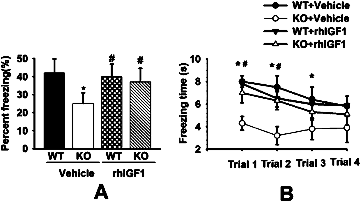 Application of recombinant human insulin-like growth factor 1 (rhIGF1) in preparation of medicines for treating fragile X syndrome