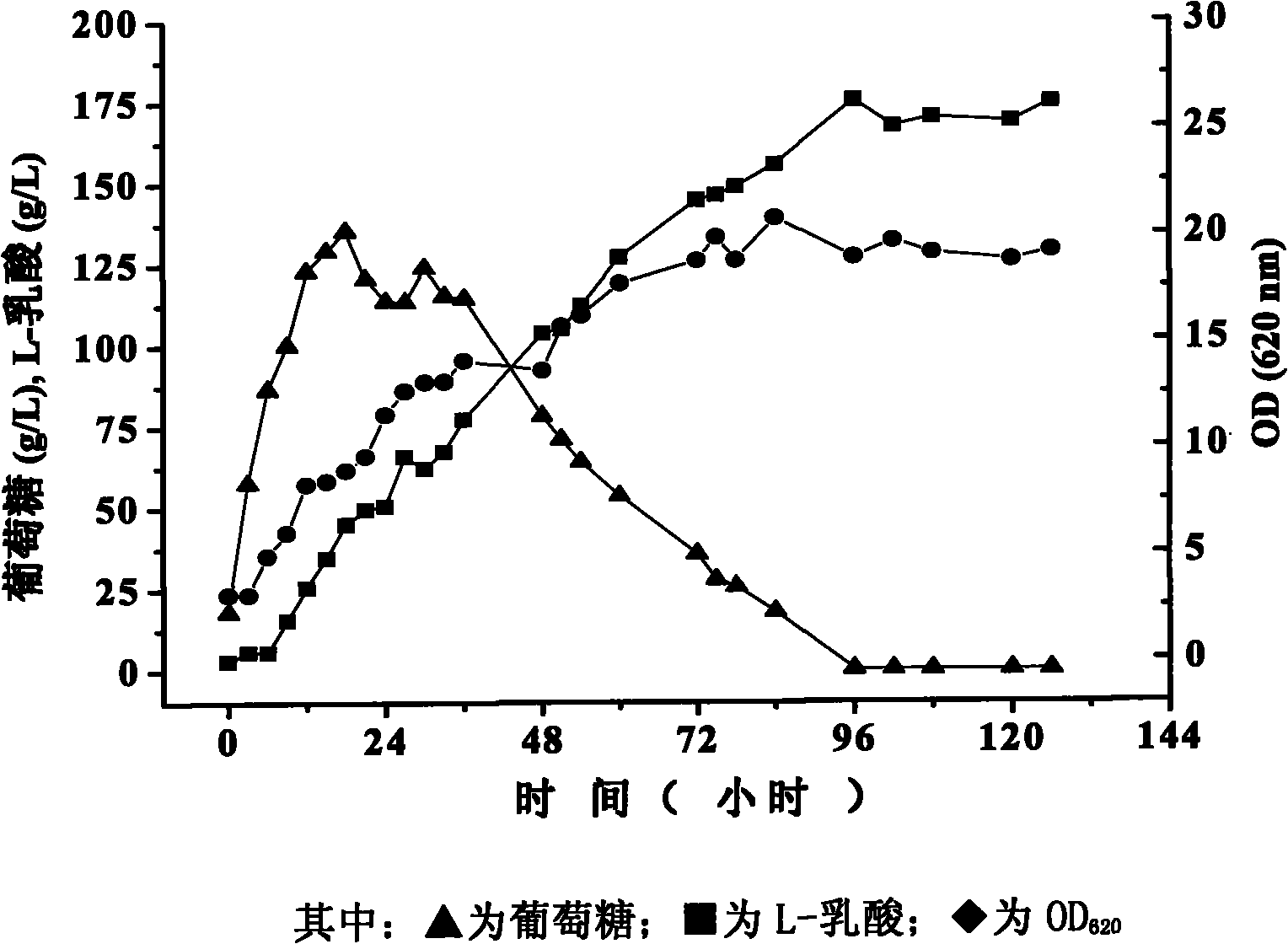 Method for producing L-lactic acid by taking cassava powder as material