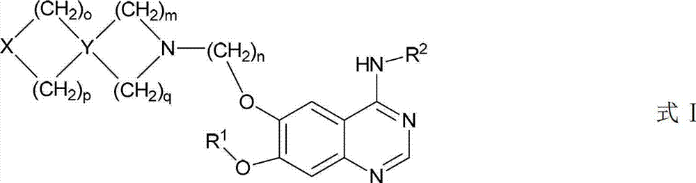 Heterocyclic amino and alkoxy-replaced quinazoline derivative and application thereof
