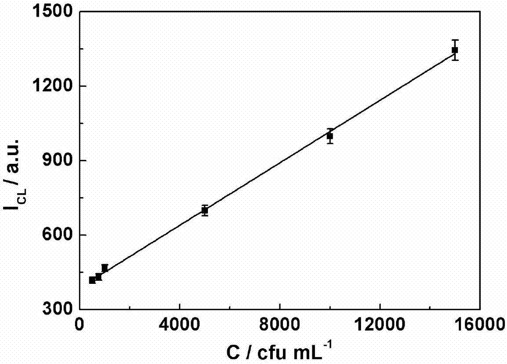 Method for detecting Salmonella typhimurium