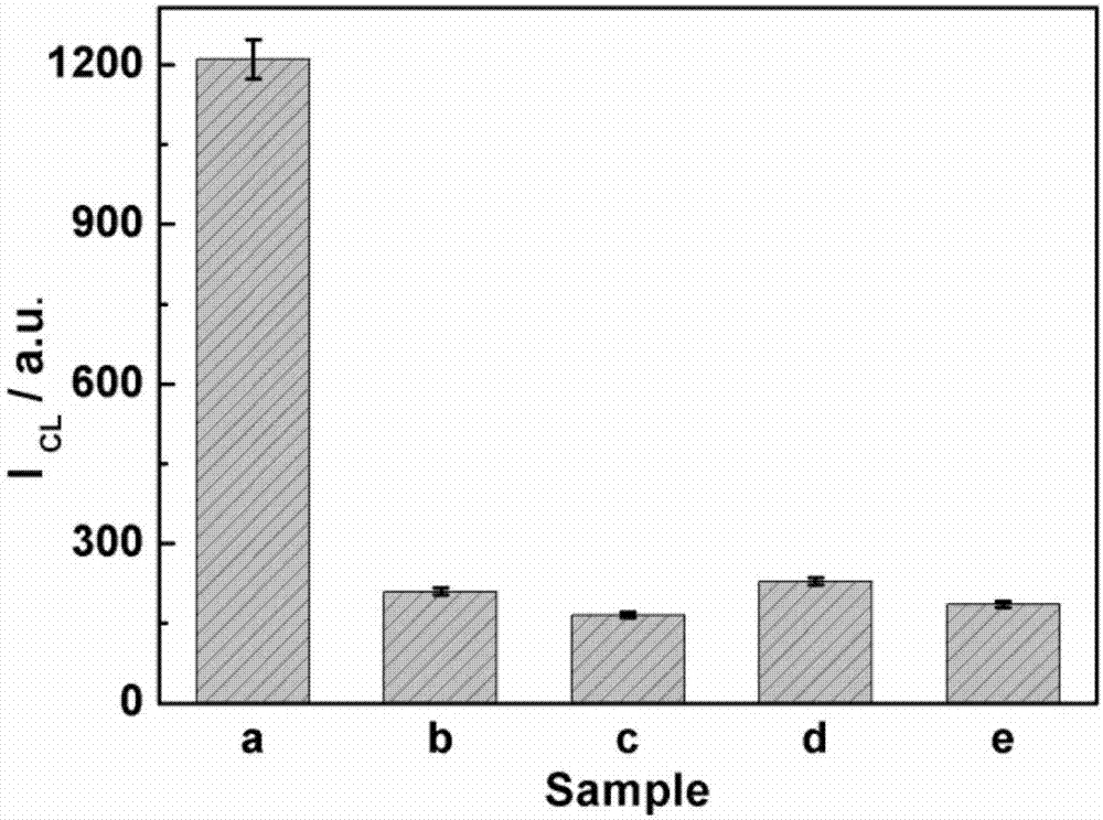 Method for detecting Salmonella typhimurium