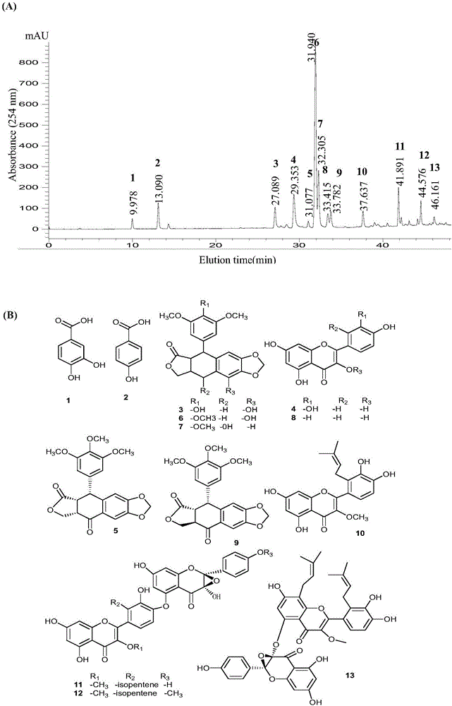 Method for preparing podophyllotoxin, biflavone of rhizoma et radix dysosmae pleianthae and analogs thereof