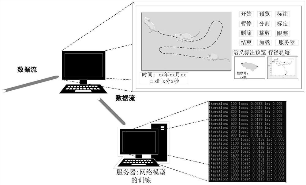 Mouse characteristic behavior analysis method based on scene geometric constraint and deep learning