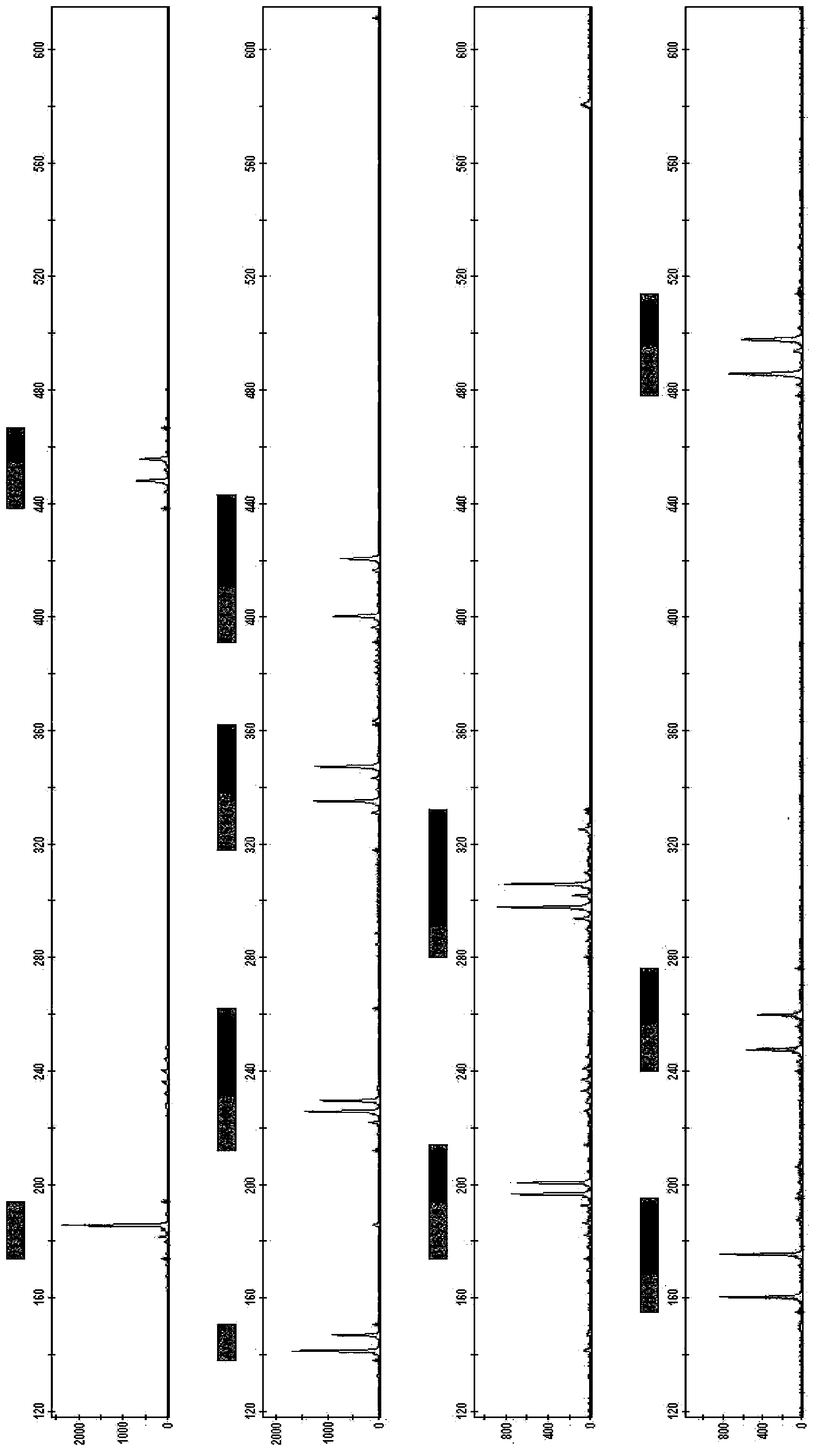 Novel short nucleotide tandem repeat sequence sites and use thereof