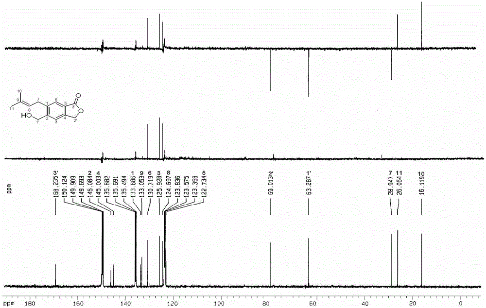 Preparation method and application of isopentenyl benzolactone compound in tobacco