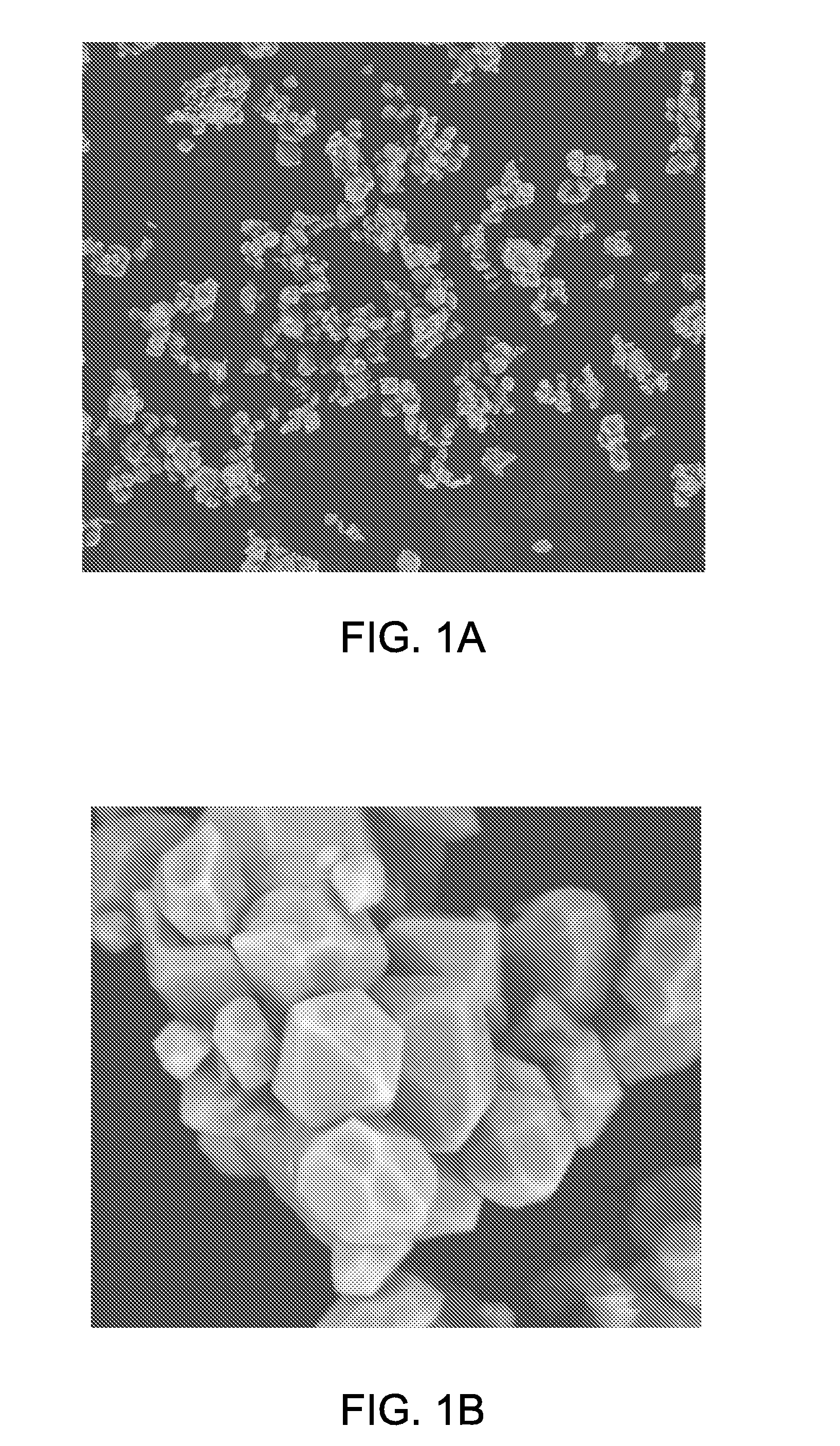 Core shell phosphor and method of making the same
