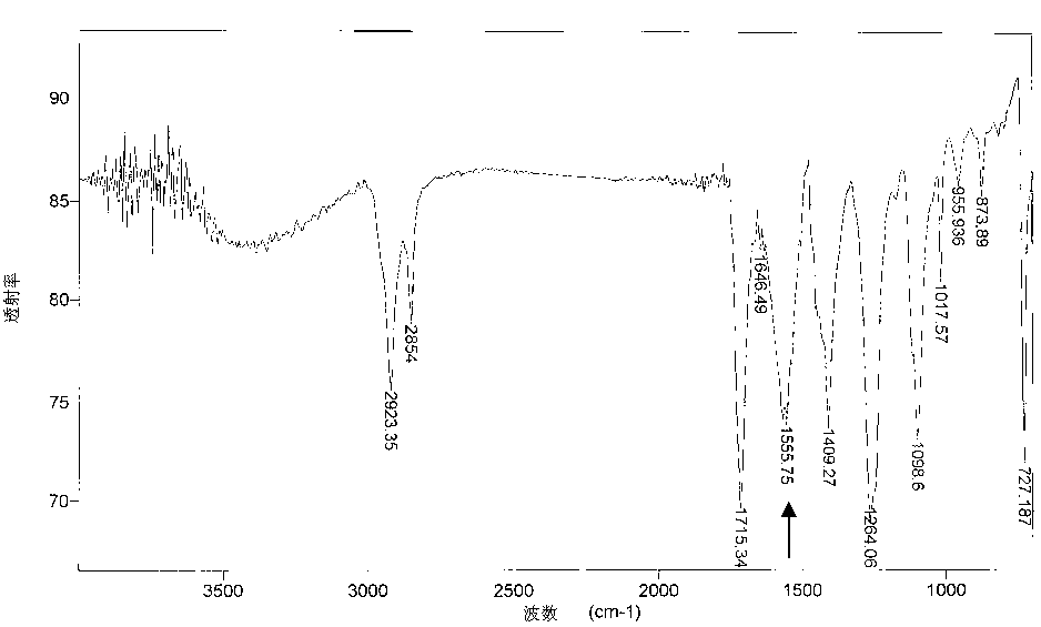 Degradable polymer composition and preparation method thereof