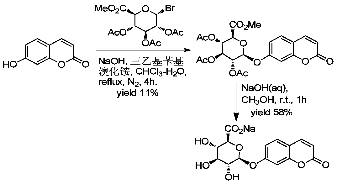A method for synthesizing various glycosides based on 4-methylumbelliferone