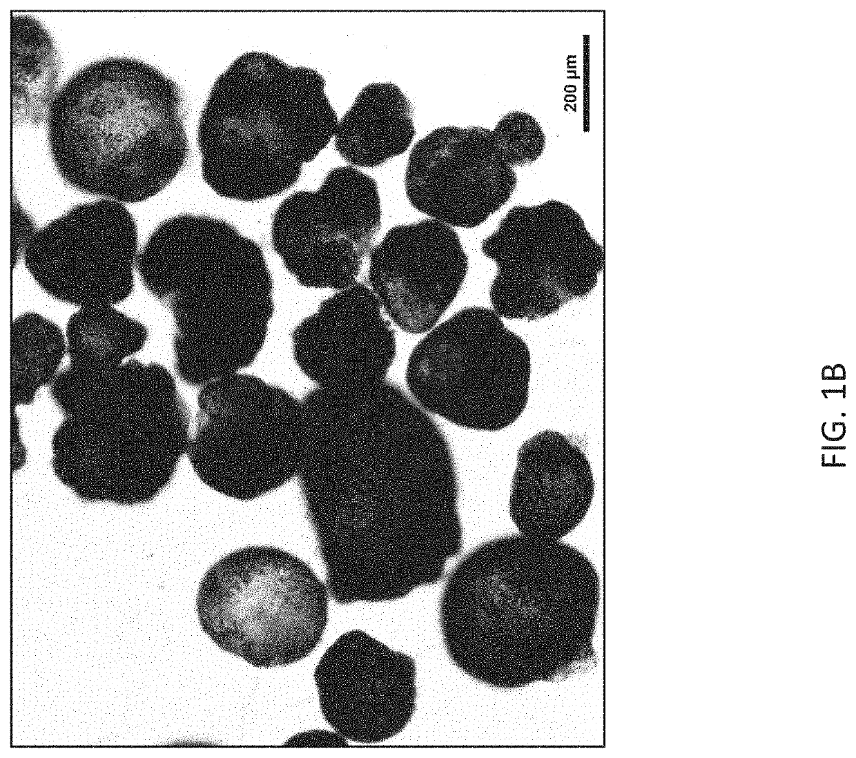 Stem cell-derived cell cultures, stem cell-derived three dimensional tissue products, and methods of making and using the same