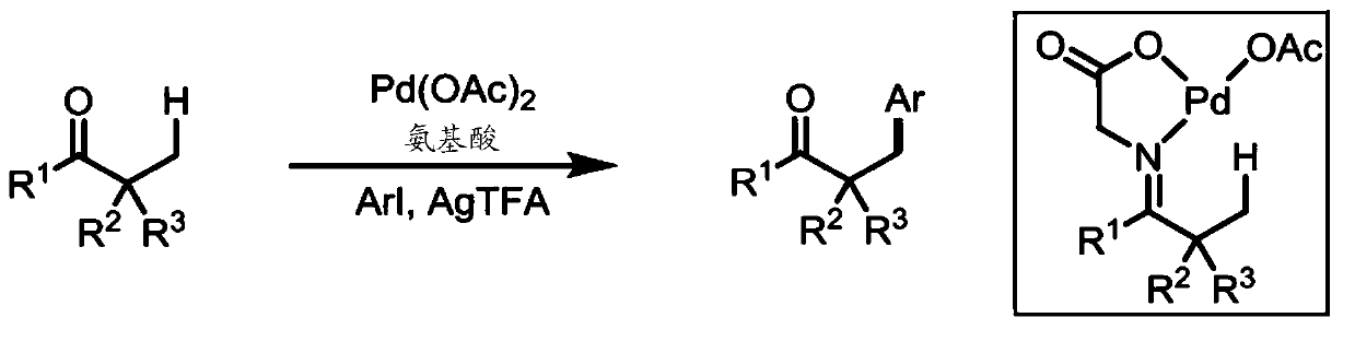 Directed beta-c(SP3)-h iodination and arylation of ketones