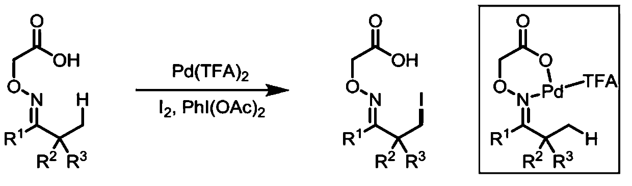 Directed beta-c(SP3)-h iodination and arylation of ketones