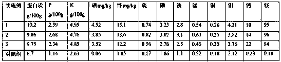 Cultivation technique of organic maize with microelement and probiotics nutrition mixture and selenium rich zinc