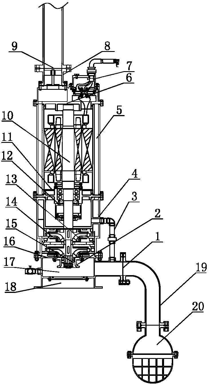 Amphibious vertical sand discharging pump
