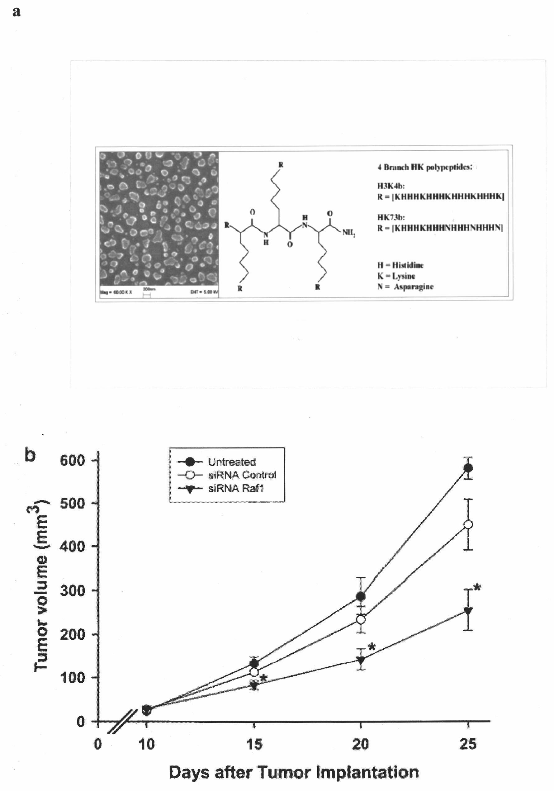 Short interfering ribonucleic acid (siRNA) for promoting scarless healing of skin wounds and application thereof