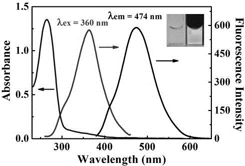 Preparation method for synthesizing fluorescent polymer nanoparticles on basis of polyethyleneimine